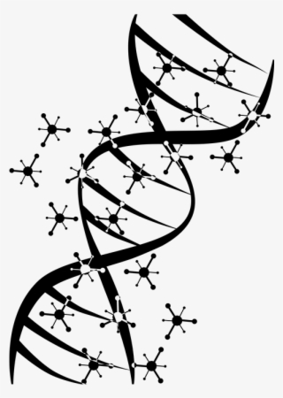 Genetic, Science, Dna, Biology - Genetica Blanco Y Negro #8683472