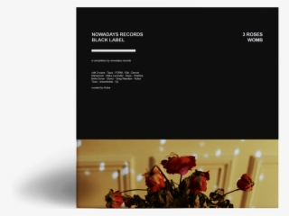 3 Roses - Garden Roses #8685065