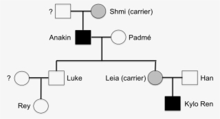 Post 115491 0 32177500 1451841880 Thumb - Star Wars Genetics #8685073