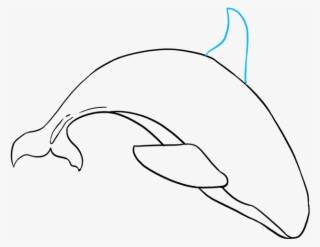 How To Draw Orca - Whale #8686406