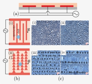Schematic Of The Substrate Used For The Condensation - Pattern #8686523