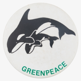 Greenpeace Orca - Rheidt #8686701