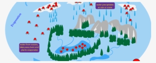 The Cycle Consists Of Evaporation, Condensation And - Illustration #8686946