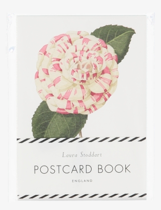 Description - Illustrator #8688089