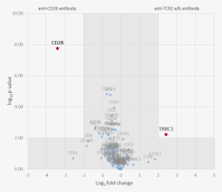T Cells - Diagram #8689277 T Cells - Diagram #8689277