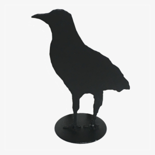 A Murder Of Crows - American Crow #8689381