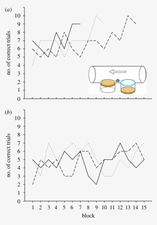 The Performance Of The Crows With The Initial Traptube - Diagram #8689571