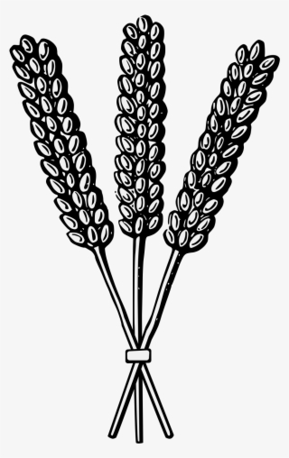 Details, Png - Heraldry Wheat #8690913