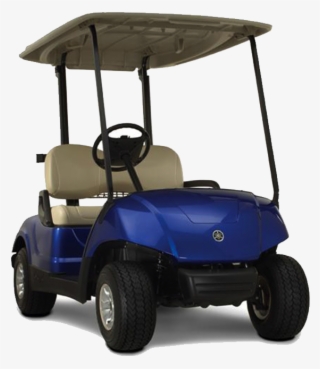 Visit Our Store - Golf Cart #8691024