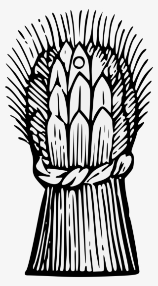 Details, Png - Illustration #8691604