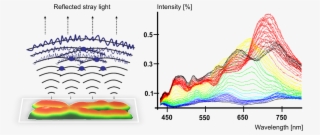 Interference Spectra Of An Unstained Chromosome - Diagram #8692260