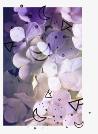 Web Testimonials #8692943