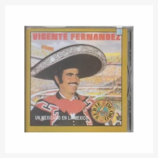 Auction - Mexicano En La Mexico Vicente #8693374