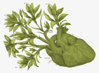 Algunos Buenos Libros #8694330