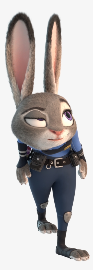 Beginner[beginner] Experimented With A User-made Judy - Domestic Rabbit #8694460