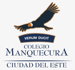 Graduación De Iv Medios - Colegio Pumahue #8694596