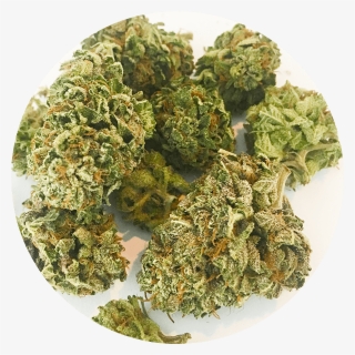 Tuna Kush At Great Weed North - Tempura #8695314