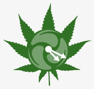 Please Confirm You Are Above 19 Years Of Age - Dark Green Weed Leaf #8695346