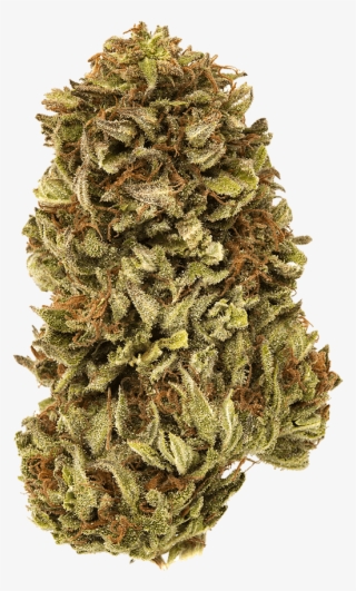 New Age Botanicals - Bud #8695438