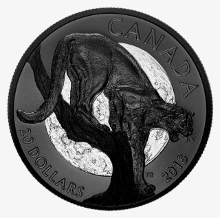 167127 Rev-570 - Silver #8696084