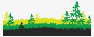 High Quality Cannabis Strains - Illustration #8696116