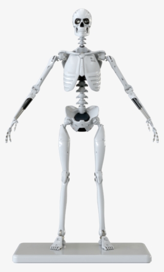 Figure Image - Molecule8 Mark 1 Endoskeleton #8696334