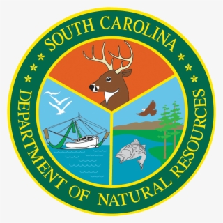 South Carolina Sharks For Ecotour Guides - South Carolina Department Of Natural Resources #8696533