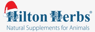 Christmas Hilton Herbs Web #8697301