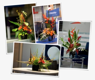 Welcome - Bouquet #8698892