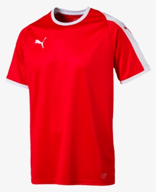 Puma Liga Jersey - Puma Borussia Soccer Jersey #8698970