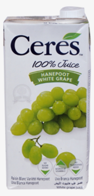 Ceres Hanepoot White Grape #8699565