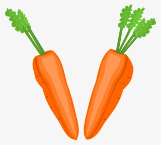 Vegetables Clipart Nutrition - Halves Clipart #870003