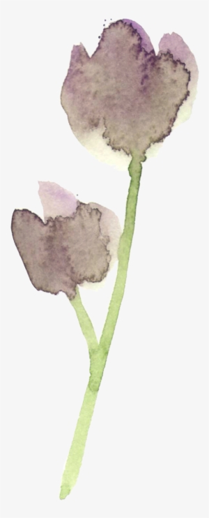 Every Time I Read An Article Anything Relating To A - Snow Crocus #871071