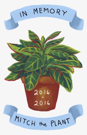 A Small Portrait I Made For Cody Rhodes As A Thank - T-shirt #871232