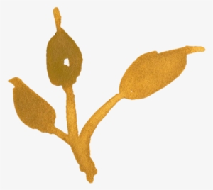 Watercolour - Illustration #871617