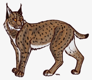 Lynx Transparent - Canadian Lynx Clipart #872034
