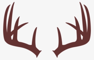 Drawing Of Deer Antlers #873484