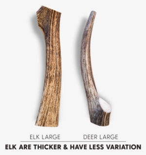 Most Dogs Love Both Types Of Antler Equally - Types Of Dog Antlers #873601