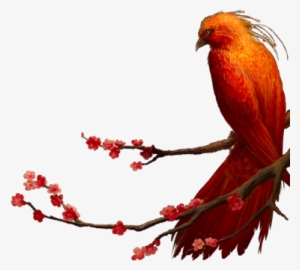 Phoenix Red Flw Branch - Phoenix On A Branch #874058