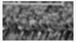 Third Quarter Performance - Philadelphia Eagles Cheerleaders #875097