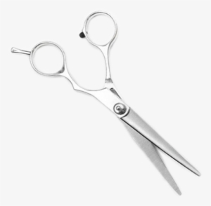 Scissors #876102