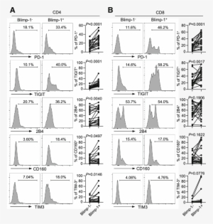 Expression Of Blimp 1 Correlates With The Upregulation - Tigit #878065