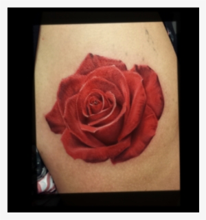 David Vega - Color #878704