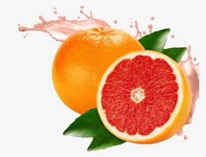 Grapefruit Png #878774