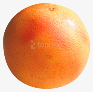 Download Grapefruit Png Image - Grapefruit Png #878795