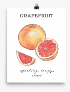 00 $28 - Natural Foods #878796