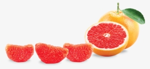 Grapefruit Png #878911