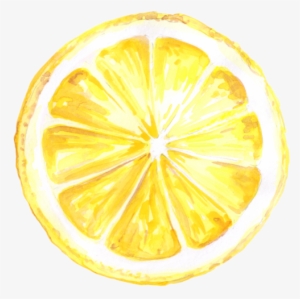 Lemon #879017