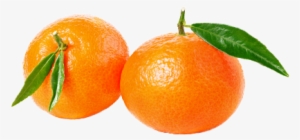 And Grapefruit To Produce A Fruit Without Seeds And - Clementine #879155