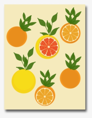 Garden Citrus Blue Citrus Yellow Flamingos Citrus Orange - Citrus #879203